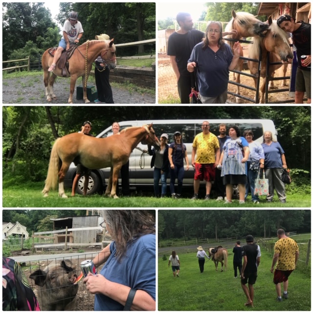 Hanover Social Rehab field trip to Dr. Ashley Bear's Farm